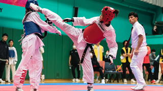 Taekwondo