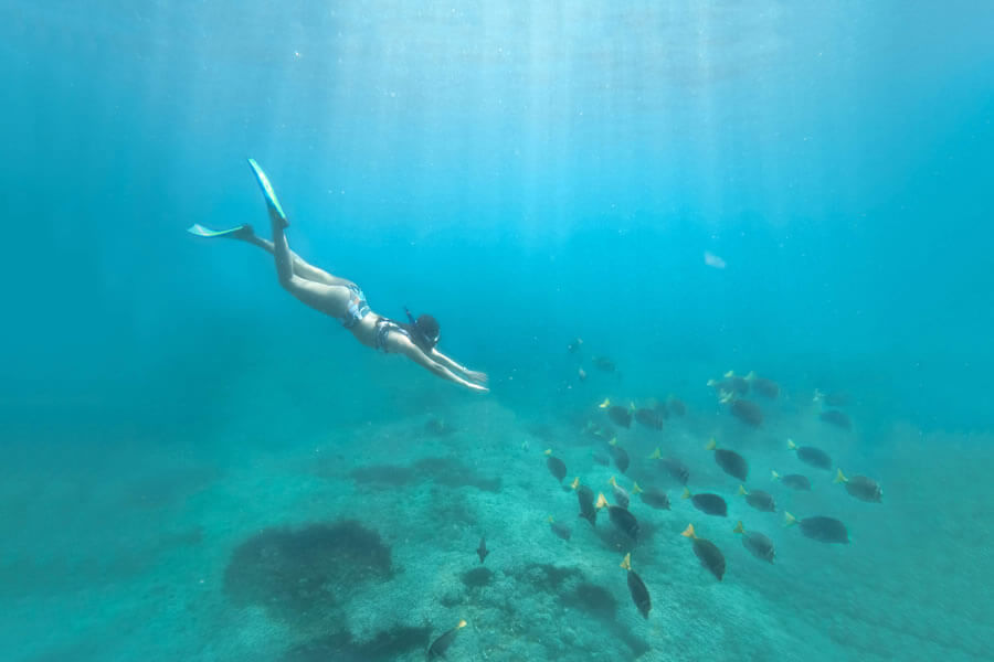 Snorkeling photo